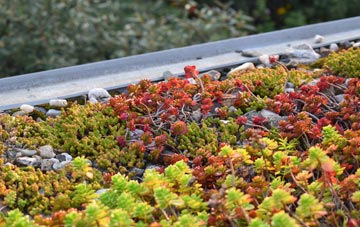 the cost of Great Bower green roof installation