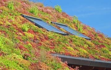 Great Bower living roof systems