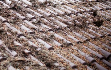 Great Bower roof cleaning companies