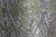 Great Bower fibreglass roof work